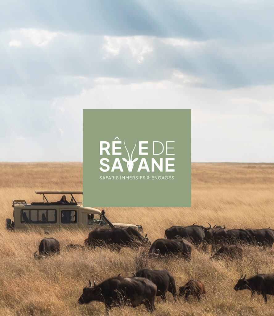 Image qui présente le logotype de Rêve de Savane